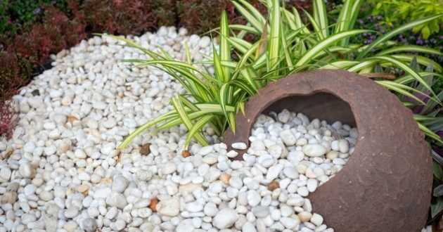 Creative Ways to Use Rocks and Stones in Your Landscape Design