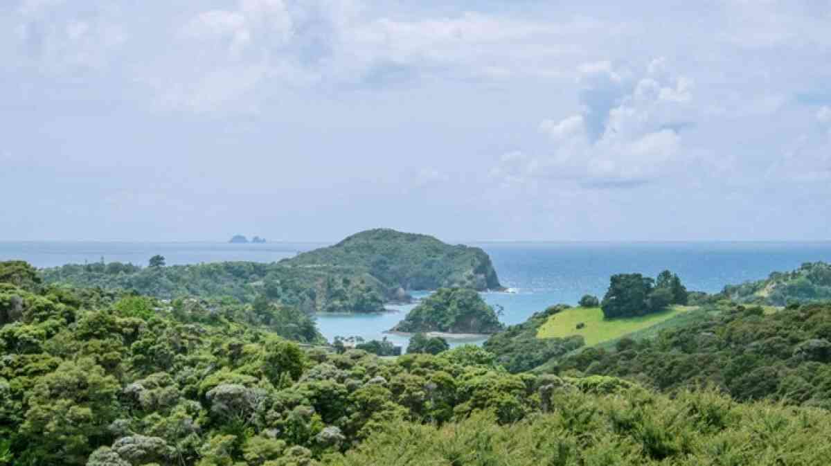 Landscape view of the Poor Knights Islands.