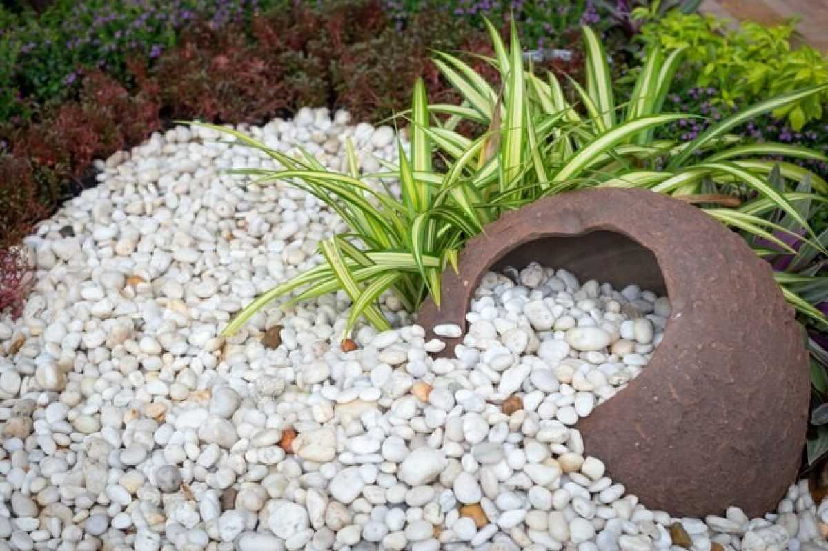 Creative Ways to Use Rocks and Stones in Your Landscape Design